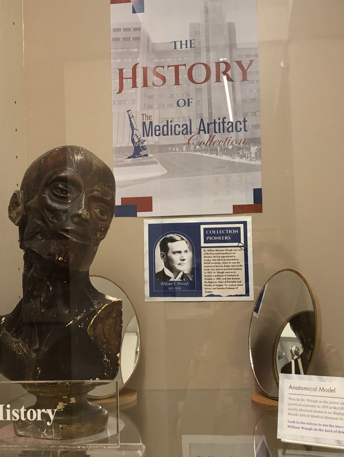 Photo of top shelf of history of collection display, featuring anatomical head